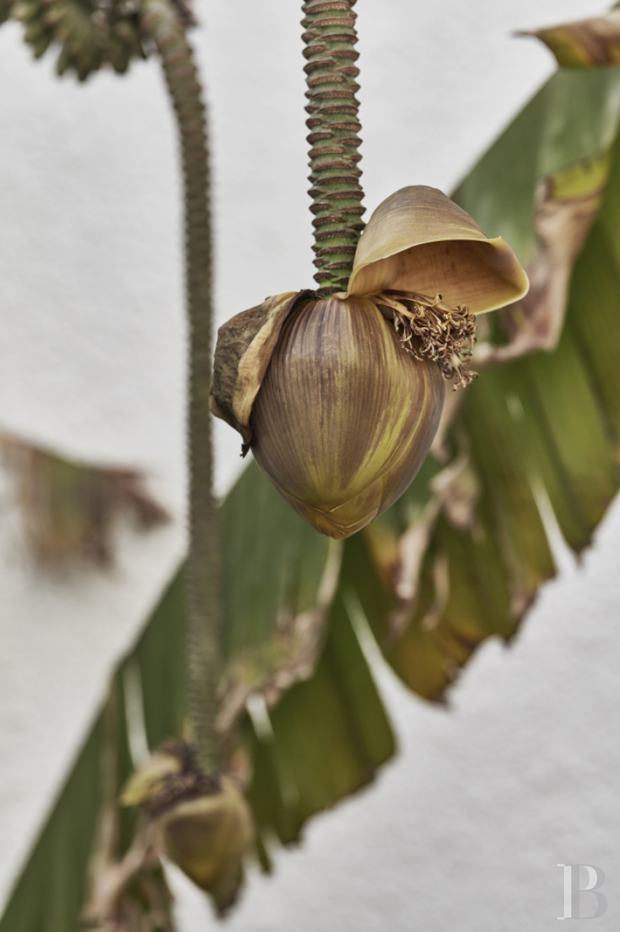 An architect-designed villa built in the 1970s near Arles, in Bouches-du-Rhône - photo  n°3